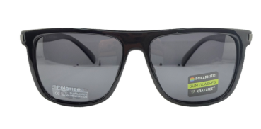 Wayfarer/Clubmaster - mit Kunststoffrahmen