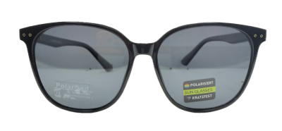 Wayfarer/Clubmaster - mit Kunststoffrahmen